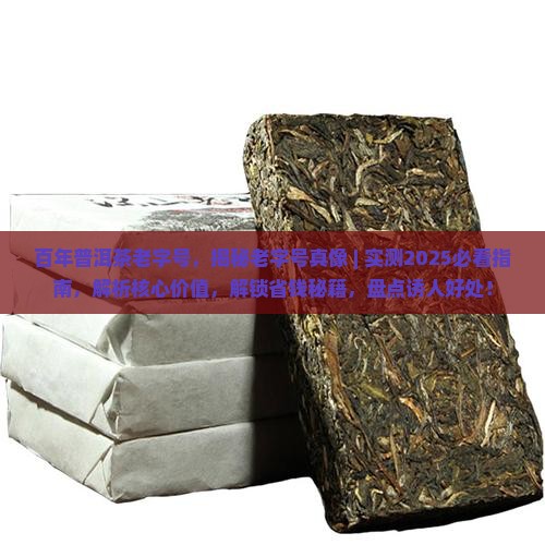 百年普洱茶老字号 百年普洱茶老字号