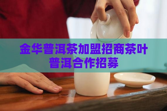 金华熟普洱茶招商加盟