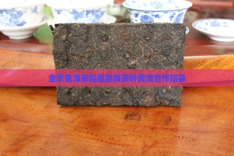金华熟普洱茶招商加盟