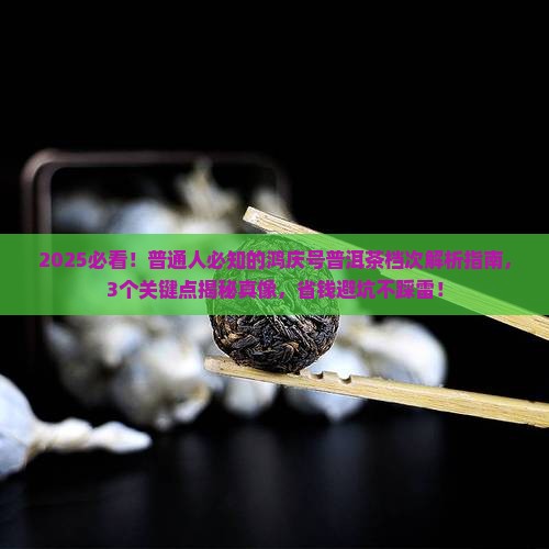鸿庆号普洱茶是什么档次