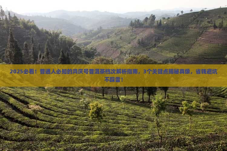 鸿庆号普洱茶是什么档次