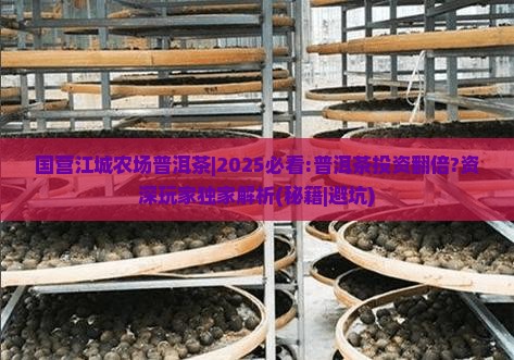 国营江城农场普洱茶