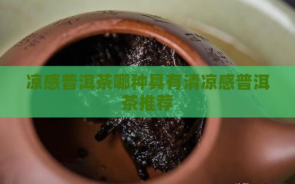 普洱茶哪款有冰凉感