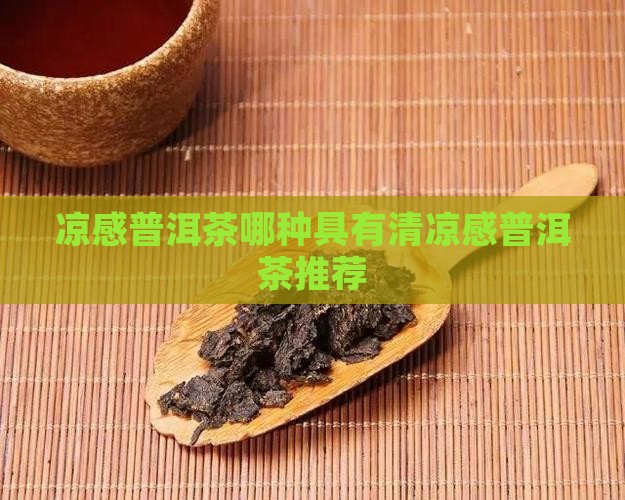 普洱茶哪款有冰凉感