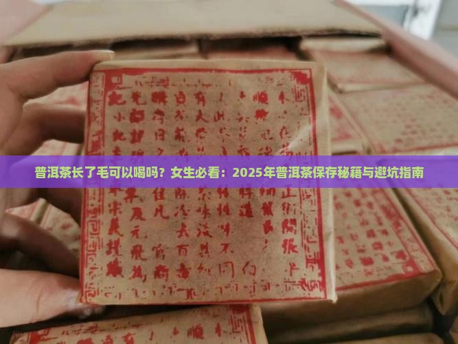 普洱茶长了毛可以喝吗女生