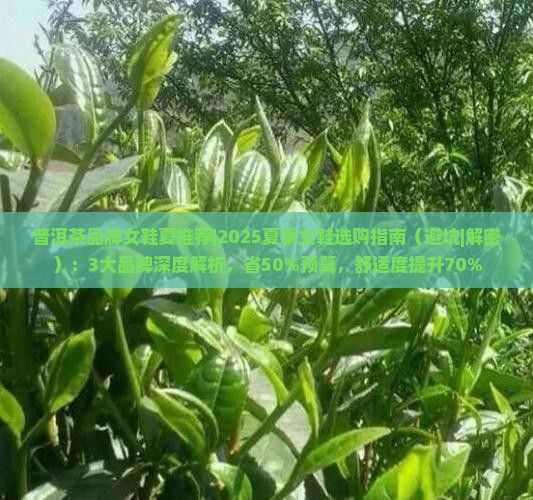 普洱茶品牌女鞋夏推荐