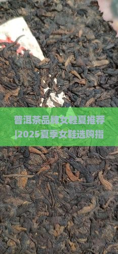 普洱茶品牌女鞋夏推荐