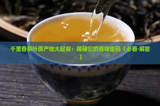 千里香茶叶的产地特点