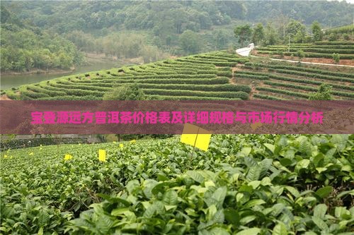 宝登源远方普洱茶价格表 宝登源远方普洱茶价格表