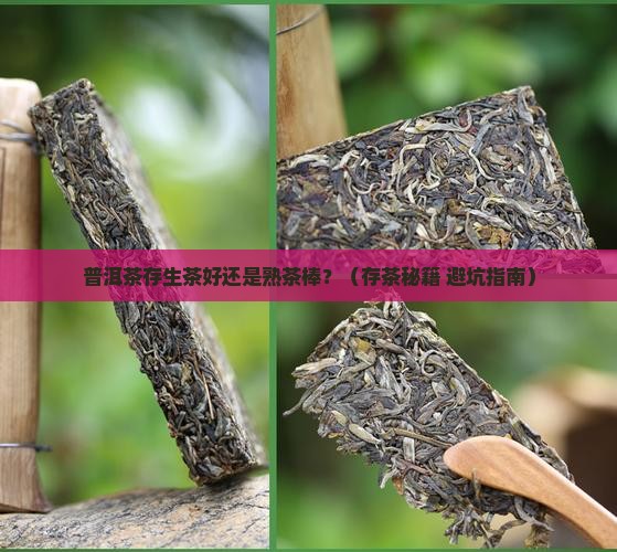 普洱茶存生的还是存熟的