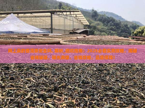 网上卖的普洱茶安全吗