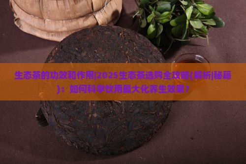 生态茶的功效和作用