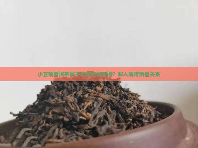 小甘菊普洱茶是红茶吗