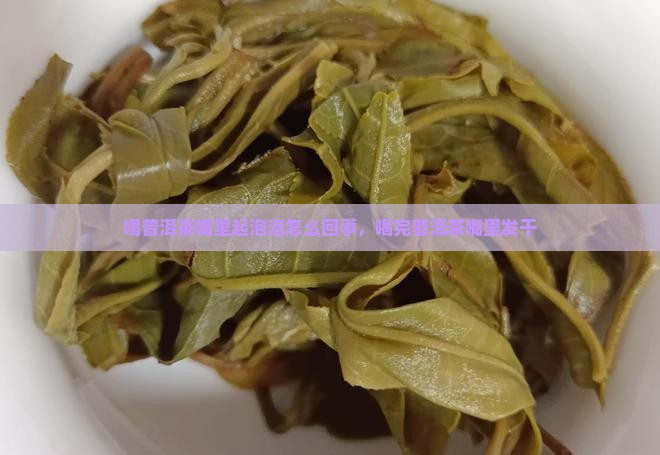 喝普洱茶嘴里起泡泡怎么回事