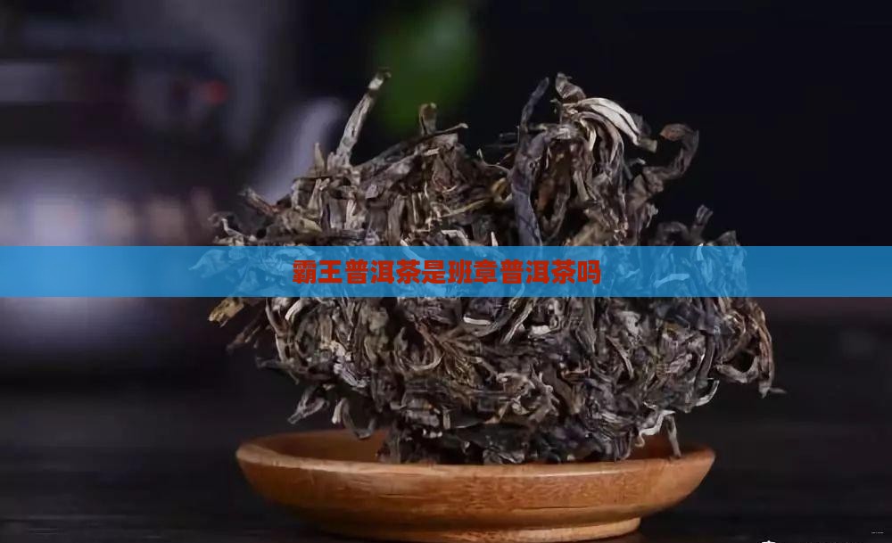 霸王普洱茶是哪个茶山