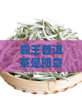 霸王普洱茶是哪个茶山