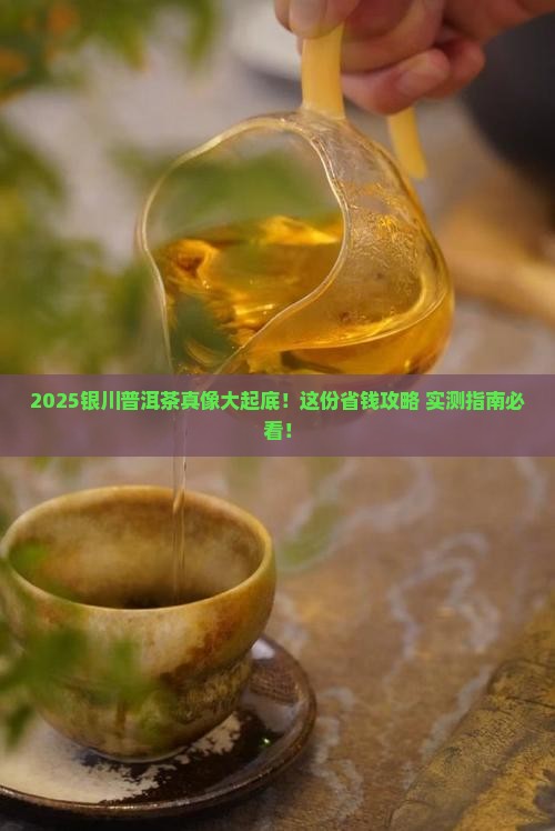 银川哪里有正宗普洱茶卖