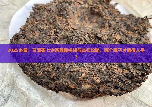 普洱茶七饼茶什么牌子的好