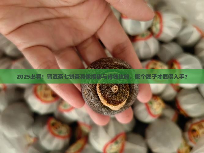 普洱茶七饼茶什么牌子的好