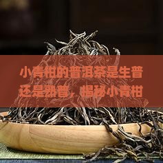 小青柑的普洱茶是生普还是熟普