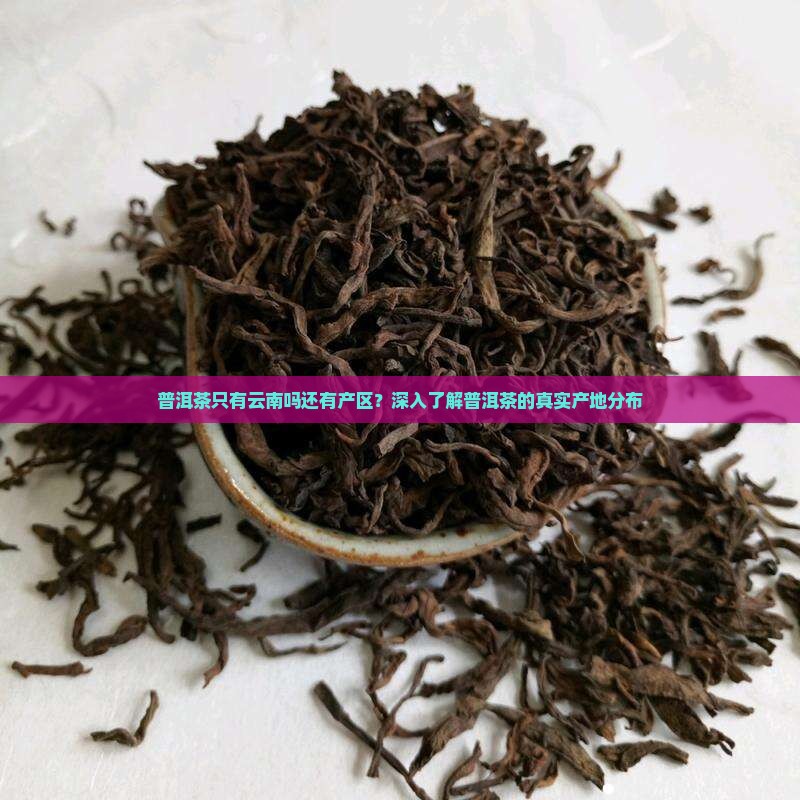 普洱茶只有云南吗还有产区
