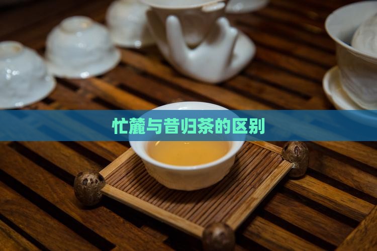 忙麓山昔归茶区别