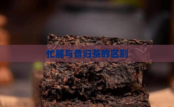 忙麓山昔归茶区别