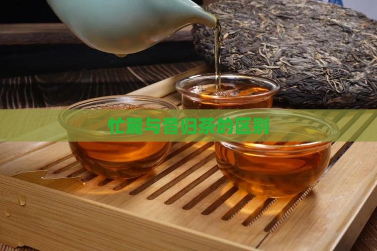 忙麓山昔归茶区别