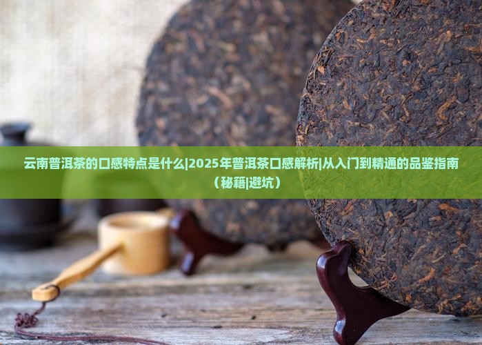 云南普洱茶的口感特点是什么