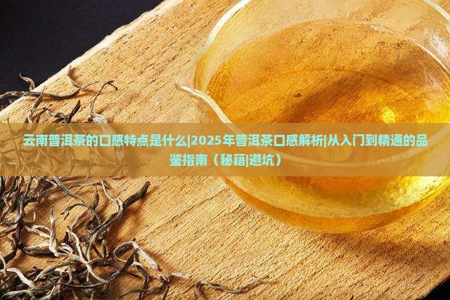 云南普洱茶的口感特点是什么