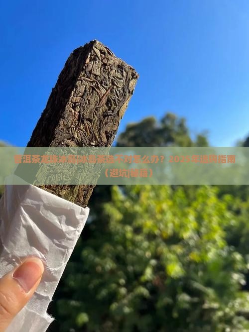 普洱茶龙珠冰岛