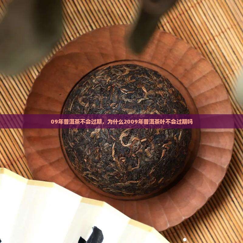 09年普洱茶不会过期