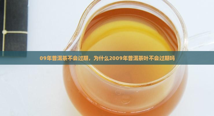 09年普洱茶不会过期