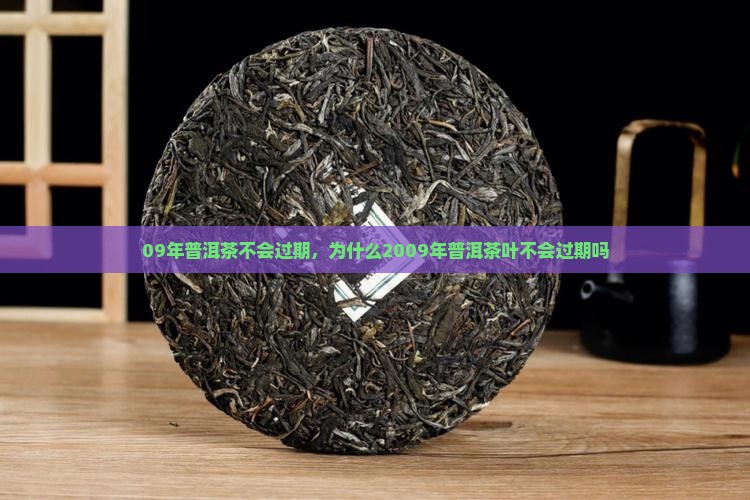 09年普洱茶不会过期