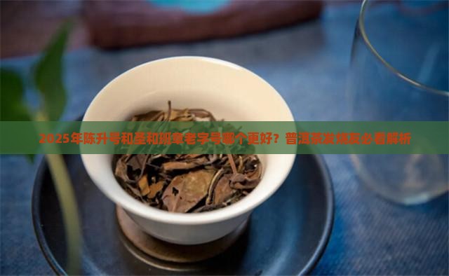 陈升号和圣和班章老字号那个好