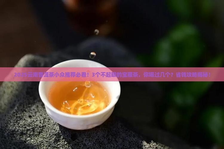 云南普洱茶小众推荐
