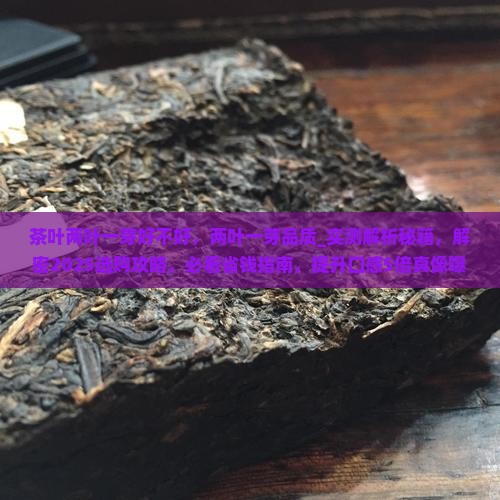 茶叶两叶一芽好不好