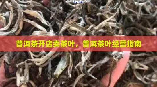 普洱茶如何开店卖茶