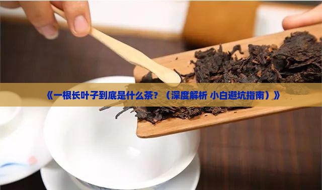 一根长叶子是什么茶