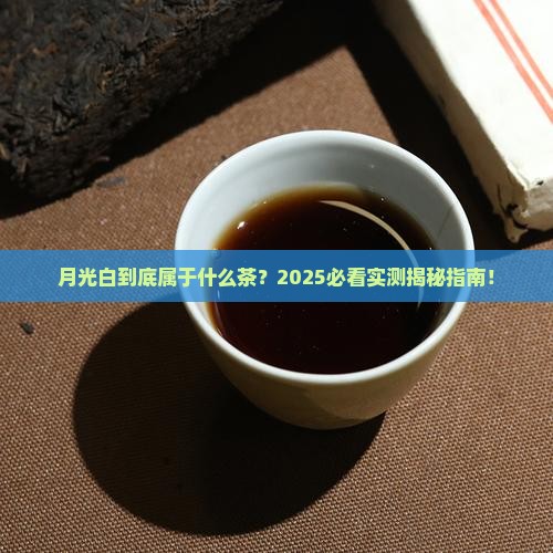 月光白是属于什么茶