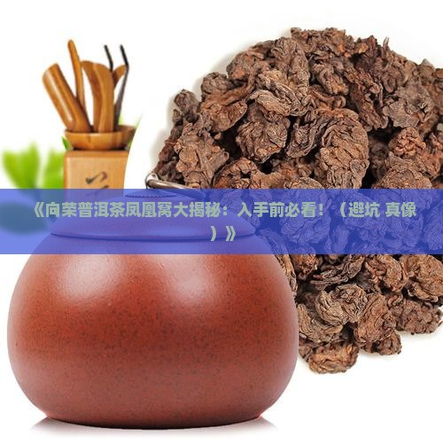 向荣普洱茶凤凰窝