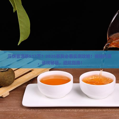 三饼普洱茶517万