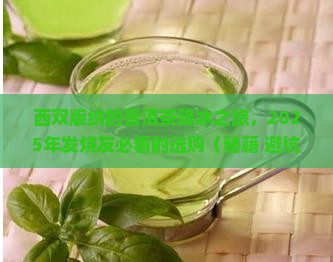 西双版纳普洱茶降冰
