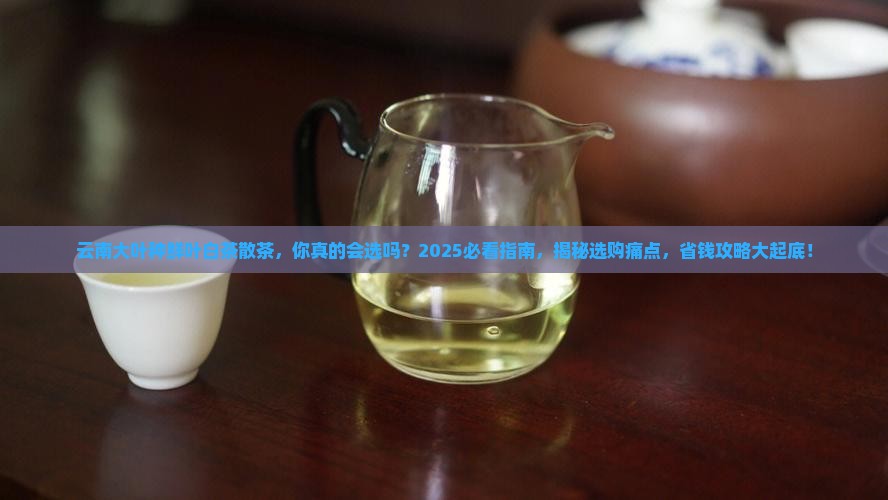 云南大叶种鲜叶白茶散茶