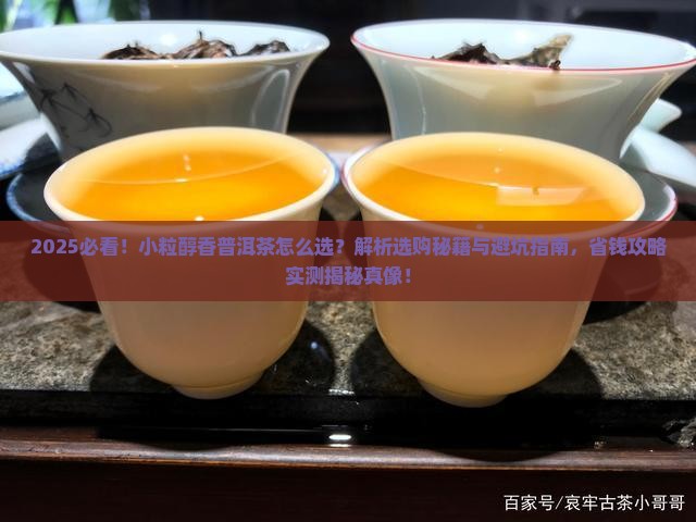 小粒醇香普洱茶