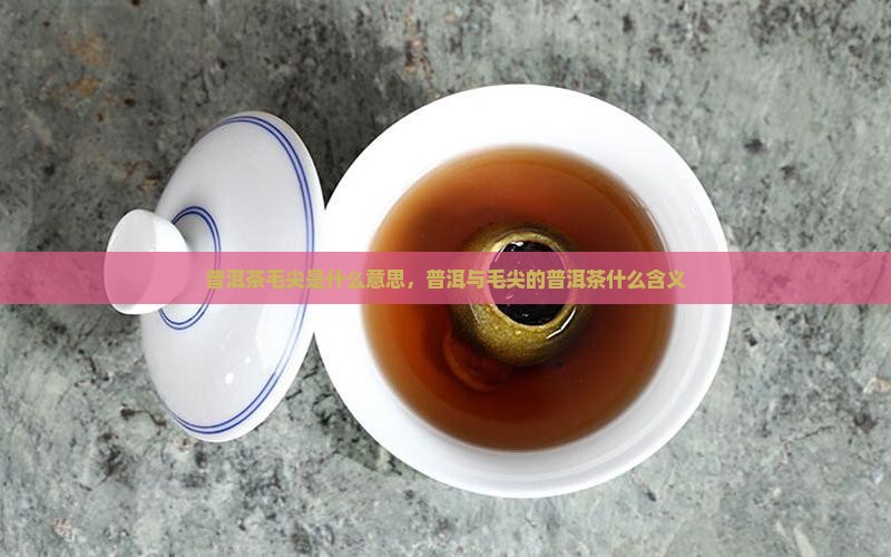 普洱茶毛尖是什么意思