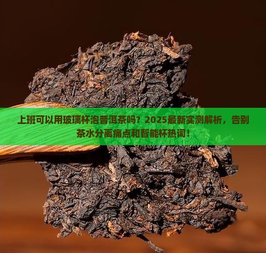 上班可以用玻璃杯泡普洱茶