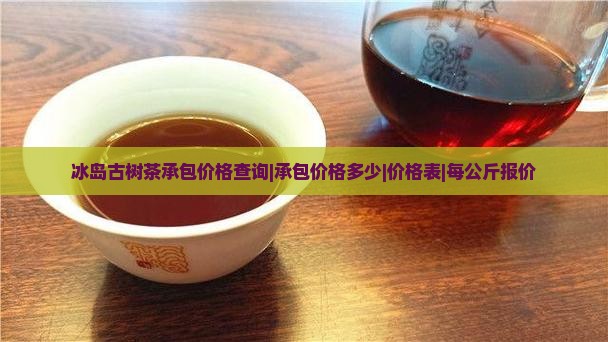 冰岛古树茶承包价格