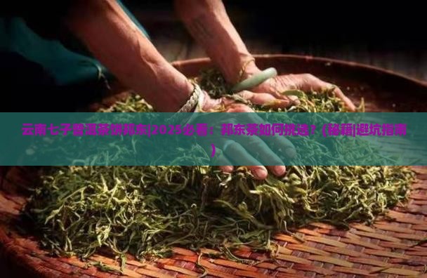 云南七子普洱茶饼邦东
