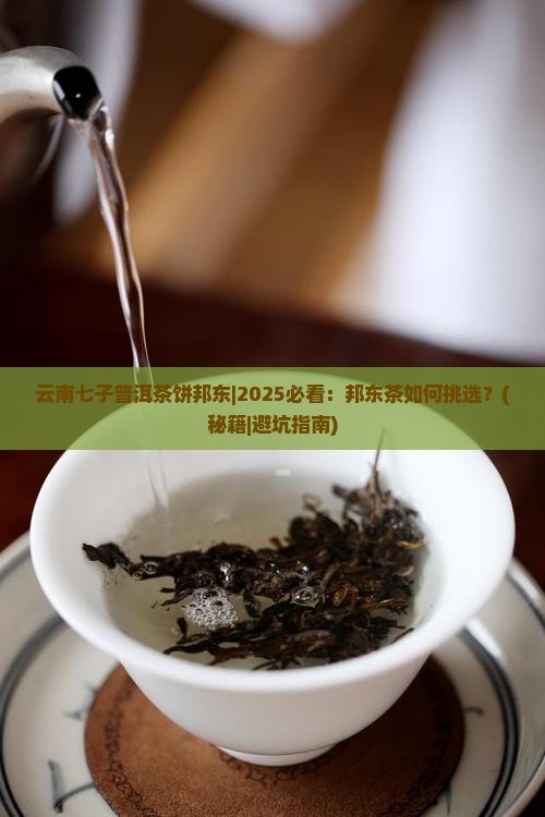 云南七子普洱茶饼邦东